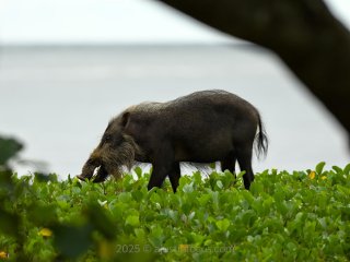 Some of the residents co-living at the visitor centre