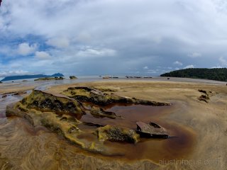 The most traffic you will see in Bako