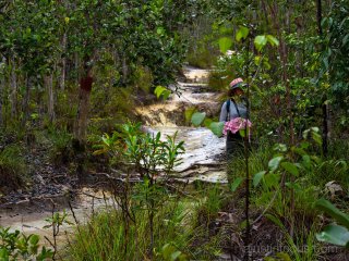 Just below the rocky plateau