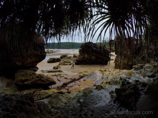 The tidal paradise of Bako