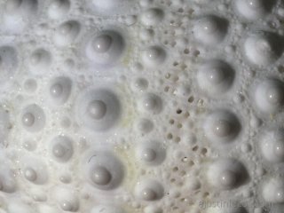 f/22 ISO1000 (2.6x crop): closing the aperture down to a pinpoint is almost like using your iPhone. Fuzzy up close!