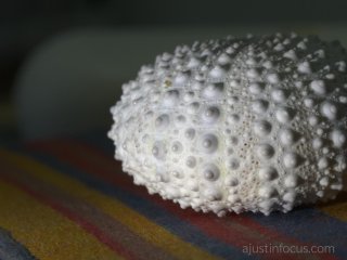 f/22 (MFT): genius! Just add strong lighting! ~8x more light (or slower shutter) was required.