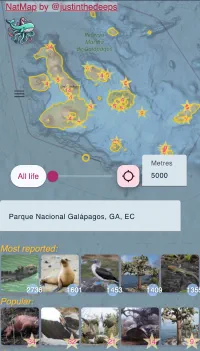 iNaturalist Mobile Explorer thumbnail