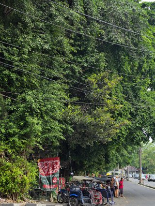 Soto ayam (chicken soup) street food under the canopy