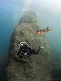 Kansai Encounters thumbnail