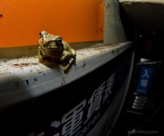 Train hopper Train hopper
