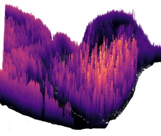 A grove of (likely) Douglas-fir trees on a lesser-visited bank of the Nooksack River, with treetop LiDAR points as high as ~90 metres (300ft) above ground. In modern datasets, resolution is sufficient to appear pleasantly as height-shaded trees in 3D (e.g. in QGIS)