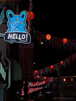 Hello humans