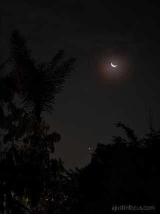 The moon chases Venus to the horizon
